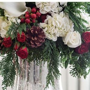 Meet your Posher, Anitra